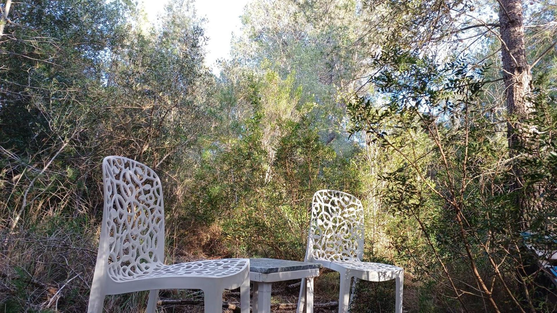 Art Villa Claudia L'Ametlla de Mar Εξωτερικό φωτογραφία